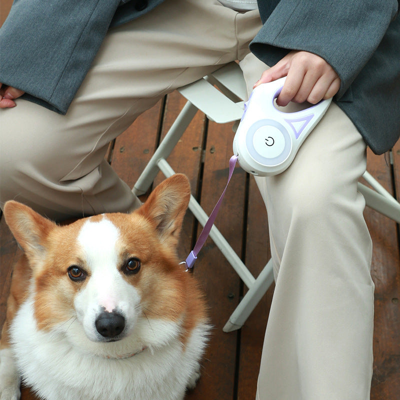 The Pet Porch Retractable Dog Leash & Collar for Small & Medium Pets | Automatic Traction Rope